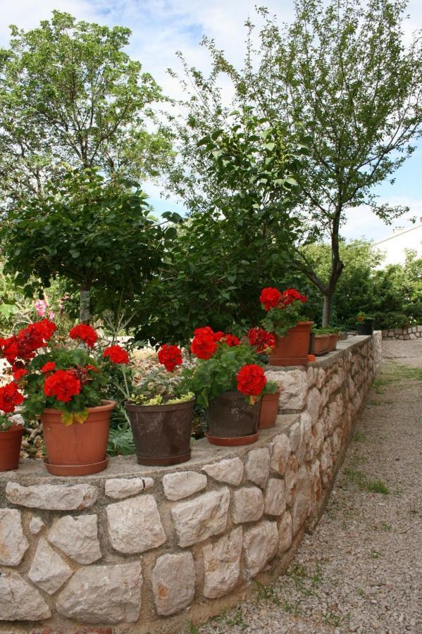 Apartments With A Parking Space Novi Vinodolski - 5514 מראה חיצוני תמונה